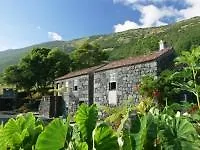 Adegas Do Pico